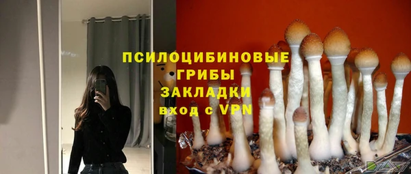 мет Аркадак