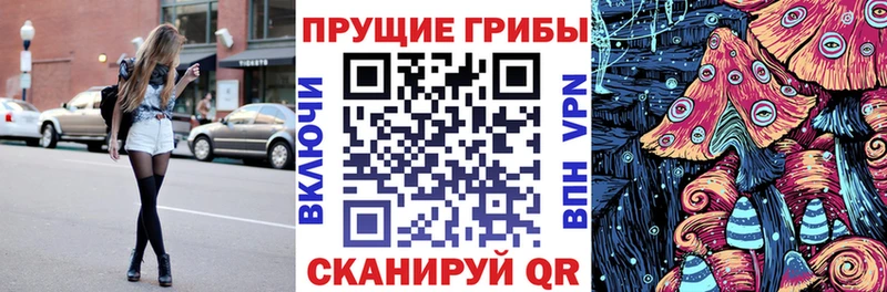 Галлюциногенные грибы Cubensis Красный Кут